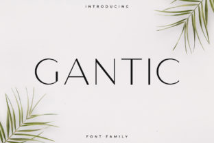 Gantic Typeface: Elevating Brand Identity with Editorial Elegance