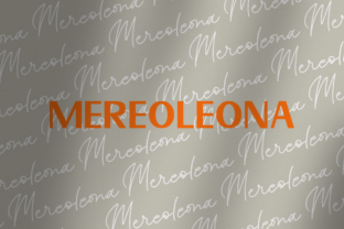 Mereoleona Duo: The Sans Serif Font Pair for Scroll-Stopping Campaigns