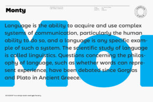 Monty Typeface Review: A Modern Sans Serif for Brand Identity