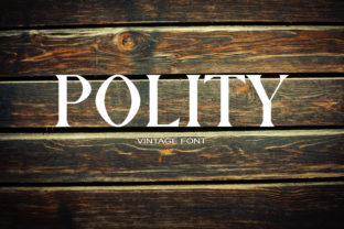 Polity: The Strong Serif Typeface for Standout Craft Designs