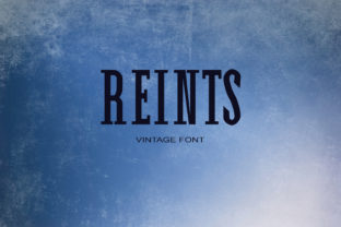 Reints: A Stunning Serif Font for Elegant Brand Campaigns