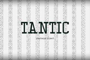 Tantic Serif Font Review for Campaign Design